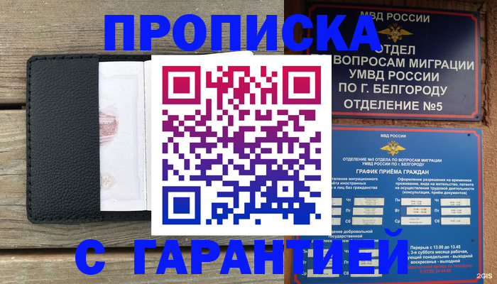 купить прописку в Кандалакше